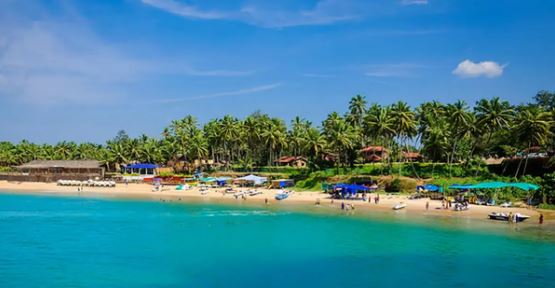 Goa beach coastline with palm trees and shacks